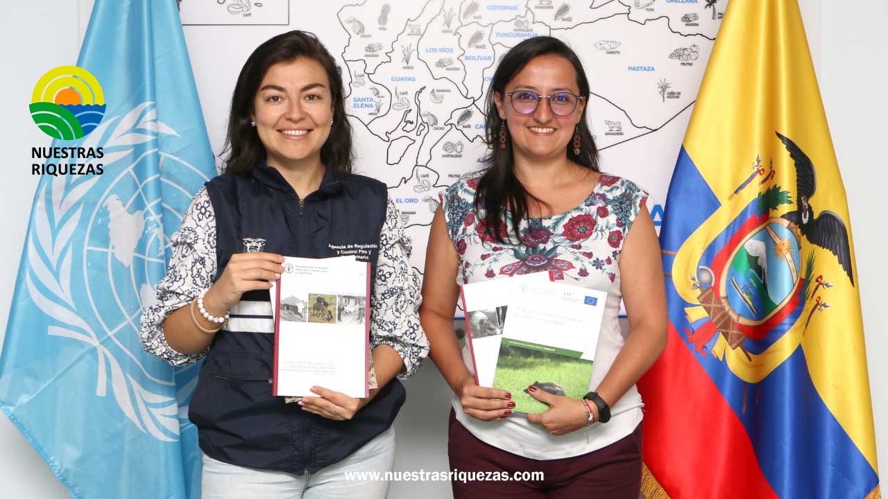 FAO brinda asistencia técnica al Gobierno de Ecuador para evitar el ingreso de Peste Porcina Africana al país