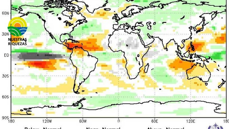 La Organización de las Naciones Unidas para la Alimentación y la Agricultura (FAO)
