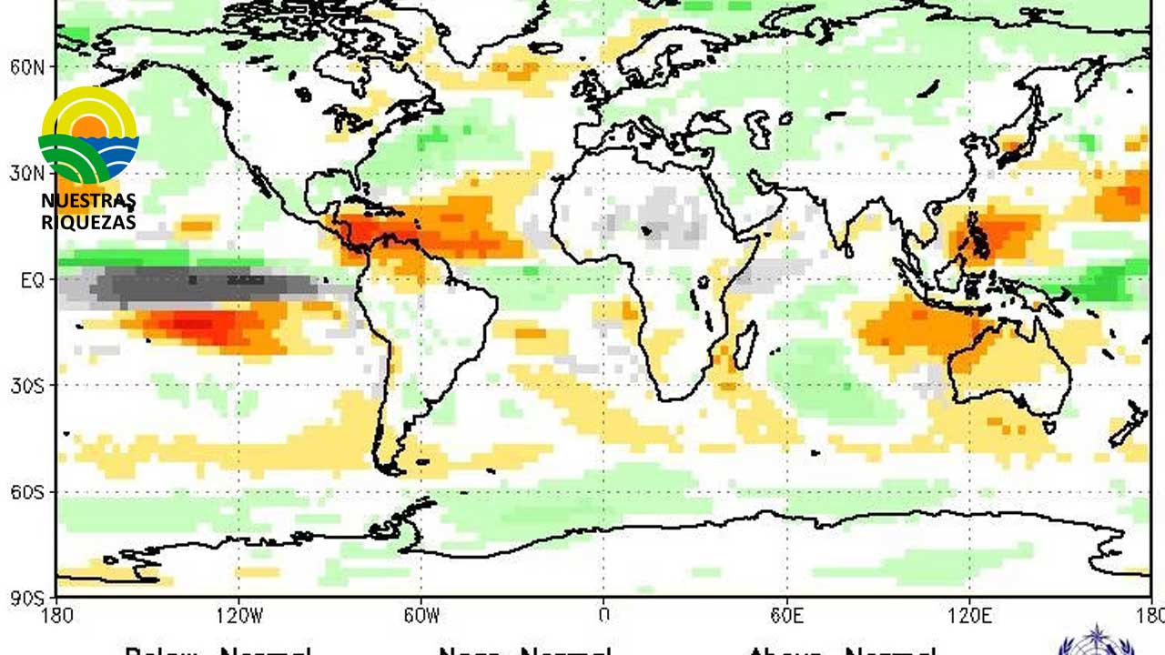 La Organización de las Naciones Unidas para la Alimentación y la Agricultura (FAO)