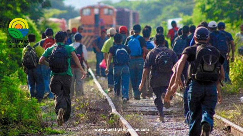 La escasez de manos en el campo: el éxodo migratorio golpea a la producción agrícola ecuatoriana