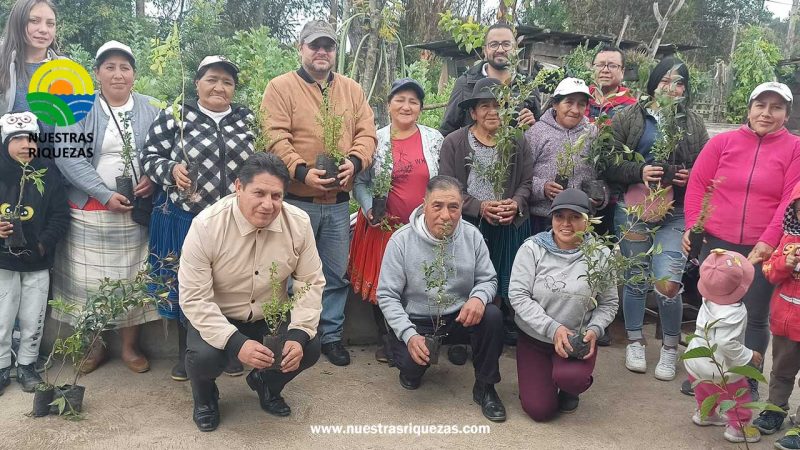 MAG fortalece el sector productivo con capacitación y la entrega de plantas forestales