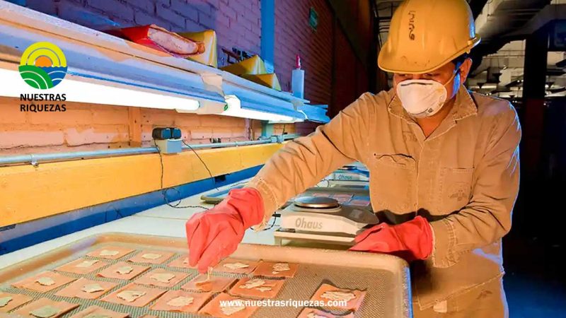 México blindó sus fronteras ganaderas ante la presencia de gusano barrenador en Costa Rica y Panamá