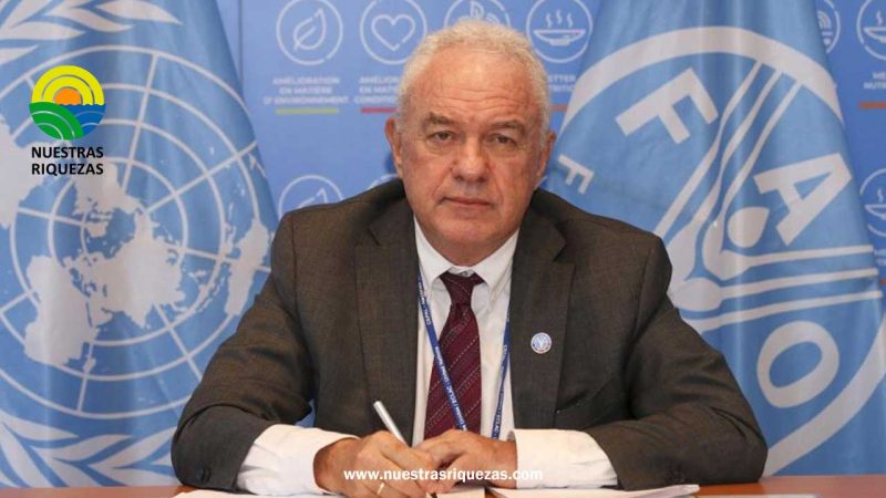 OPINIÓN: Nuevos desafíos en la agricultura frente al fenómeno de El Niño