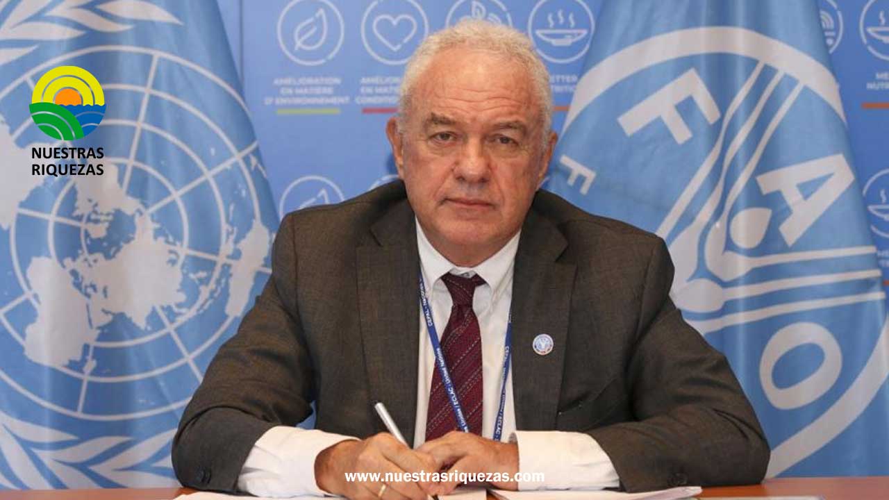 OPINIÓN: Nuevos desafíos en la agricultura frente al fenómeno de El Niño