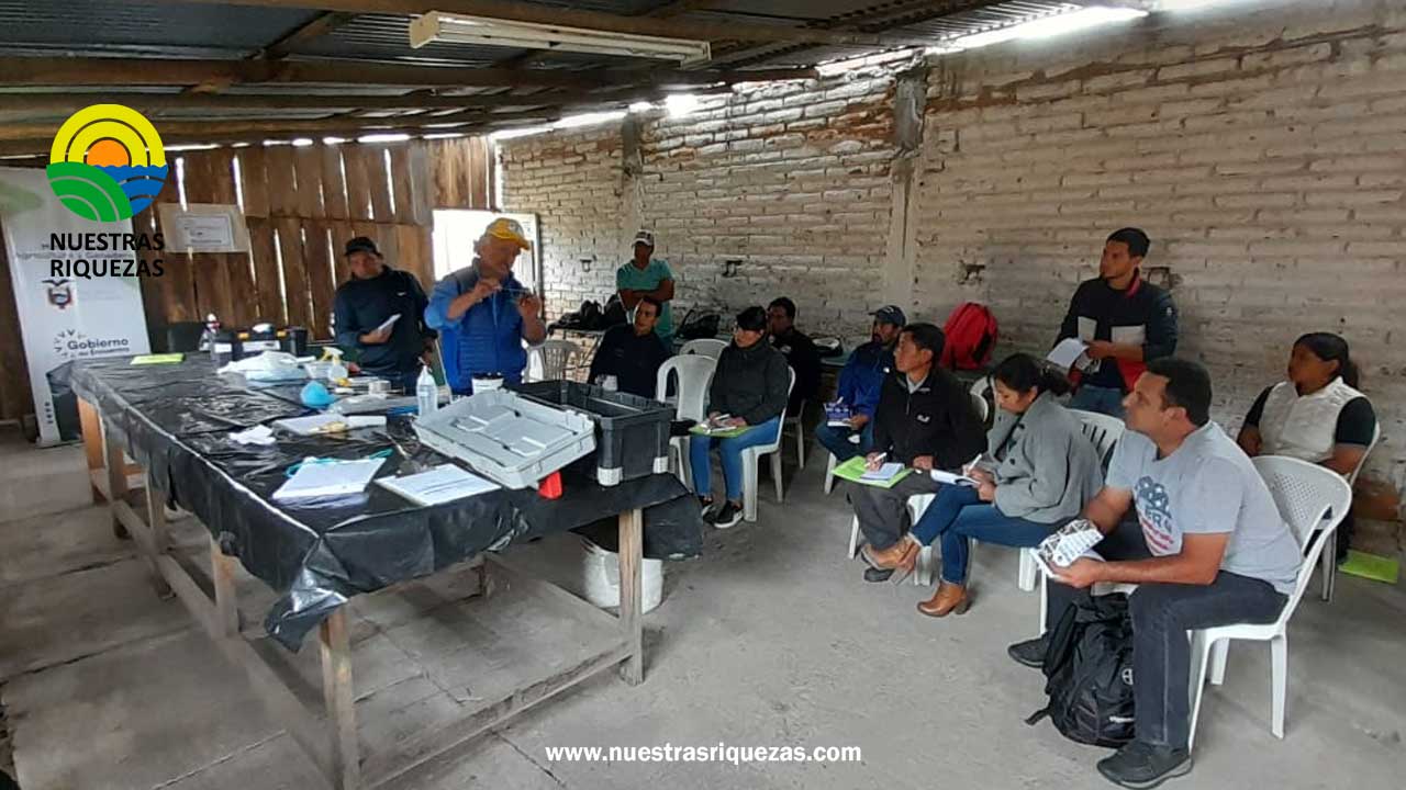 Productores de Imbabura se capacitan como inseminadores comunitarios