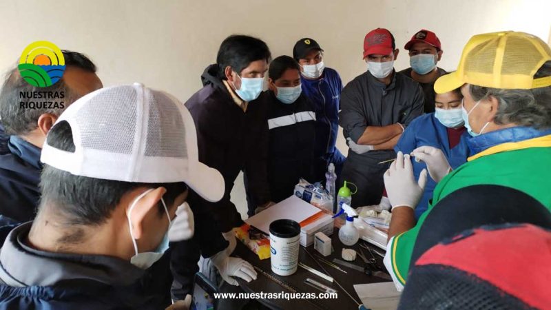 Productores de Tungurahua se capacitan como inseminadores comunitarios