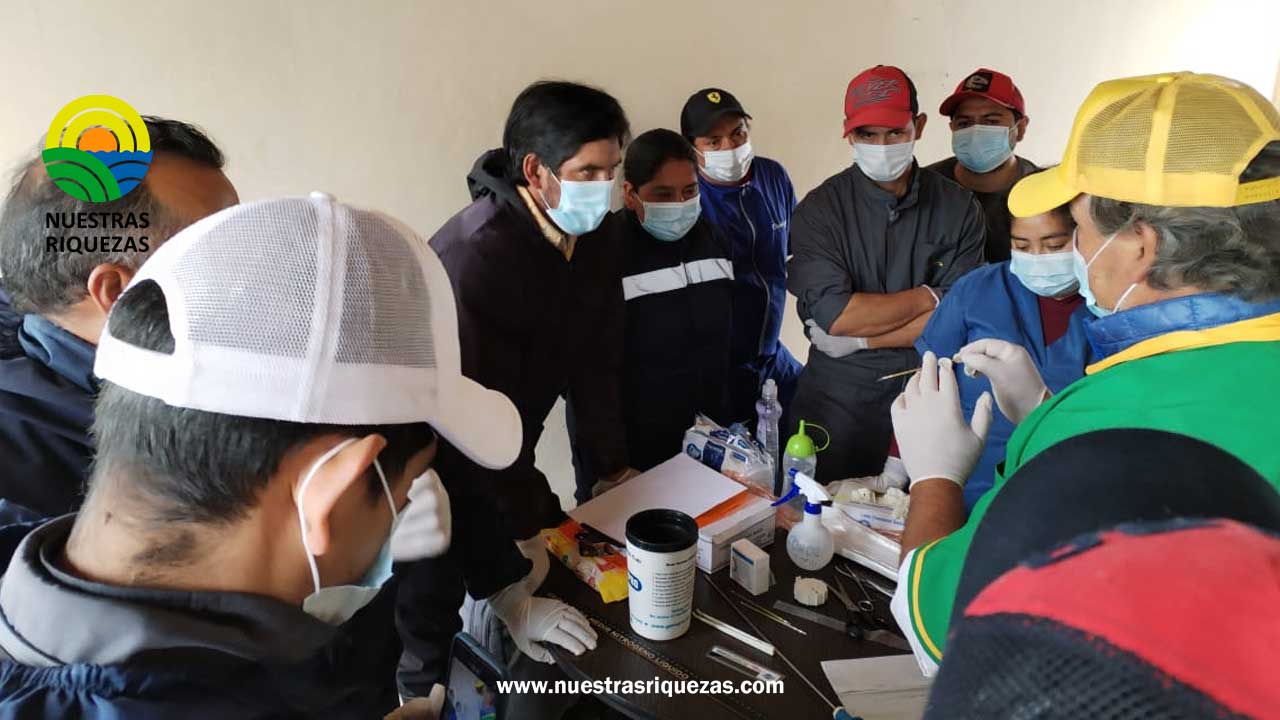 Productores de Tungurahua se capacitan como inseminadores comunitarios