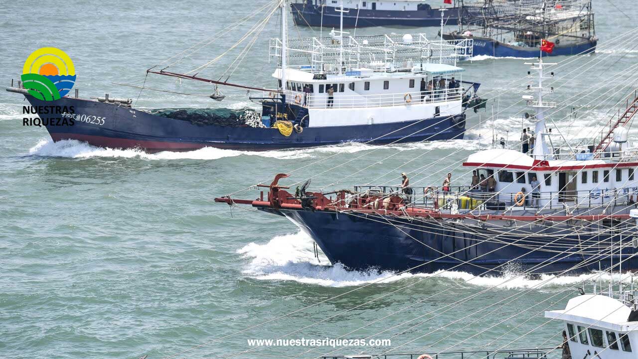 Seminario internacional abordará la pesca ilegal y el incumplimiento de la regulación pesquera en Asia y Latinoamérica