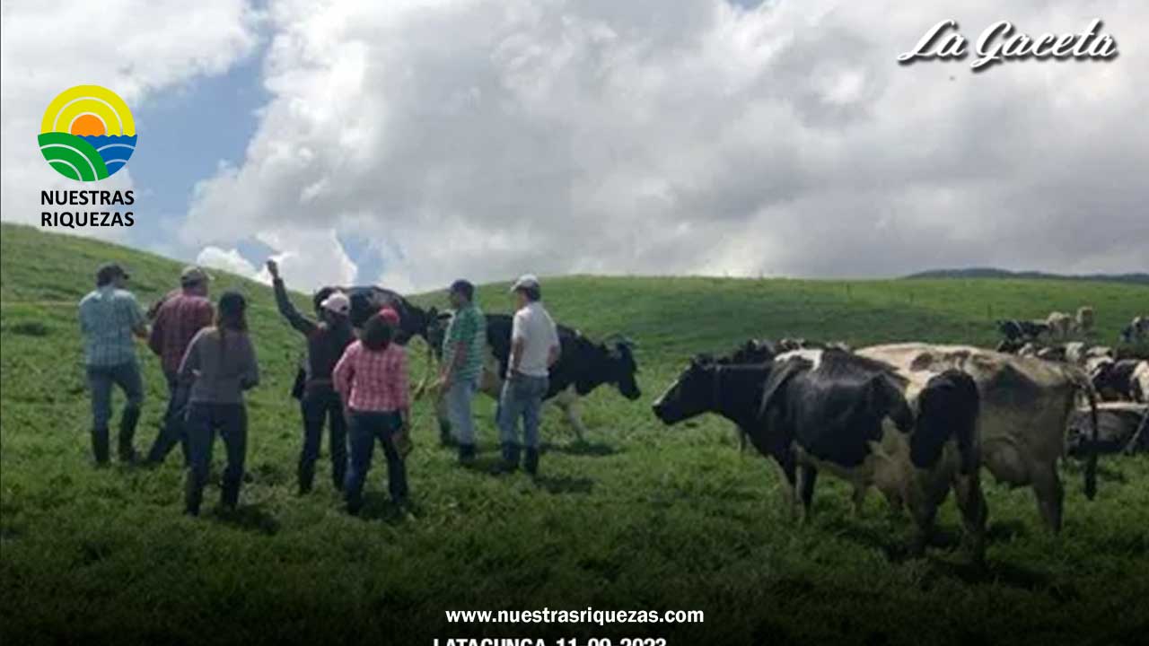 30 ganaderos de Cotopaxi fueron capacitados sobre inseminación artificial