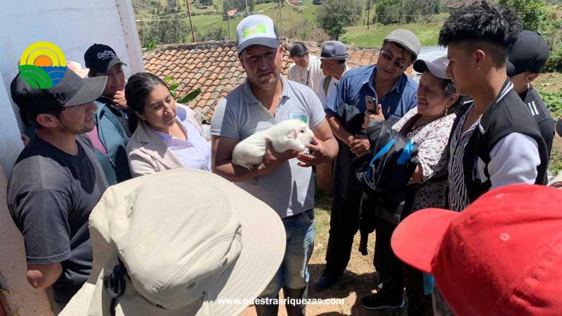 A través de giras de observación se fortalecen los conocimientos de los productores de Chuquiribamba