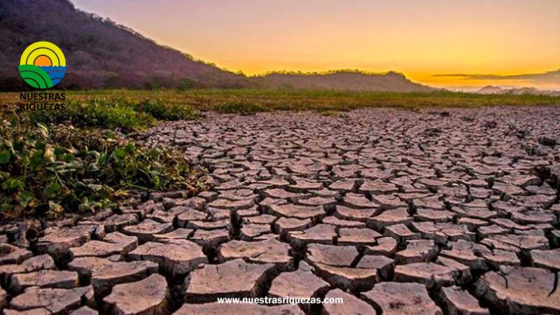 Agricultura de Centroamérica figura entre las más afectadas por escasez de lluvias