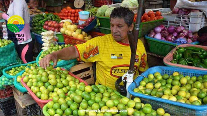 Aumento del Precio del Limón en Ecuador