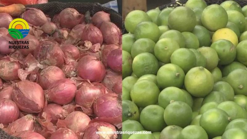 En Ambato baja precio de cebolla; sube el limón