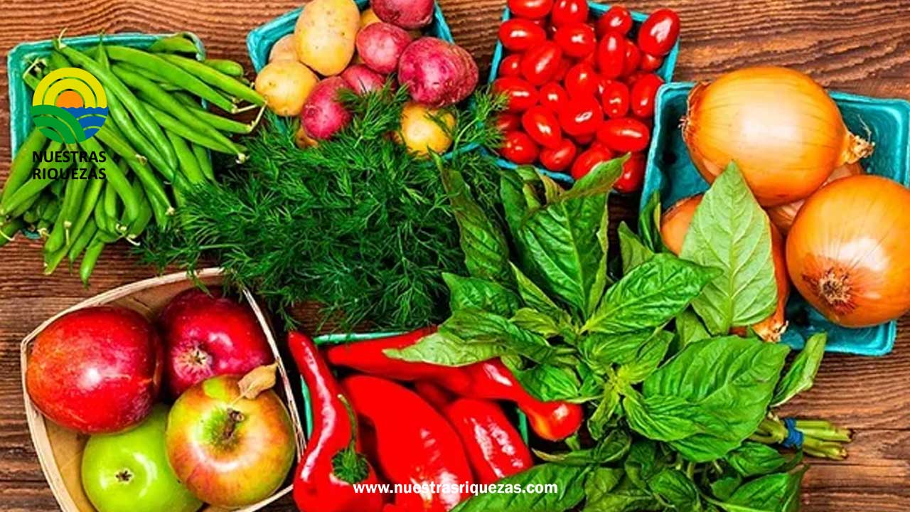 Ecuador fortalece la producción orgánica a nivel internacional