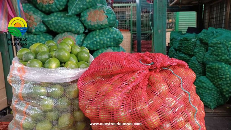 El verde y el limón: Entre la escasez y la exagerada subida de su precio en Guayaquil