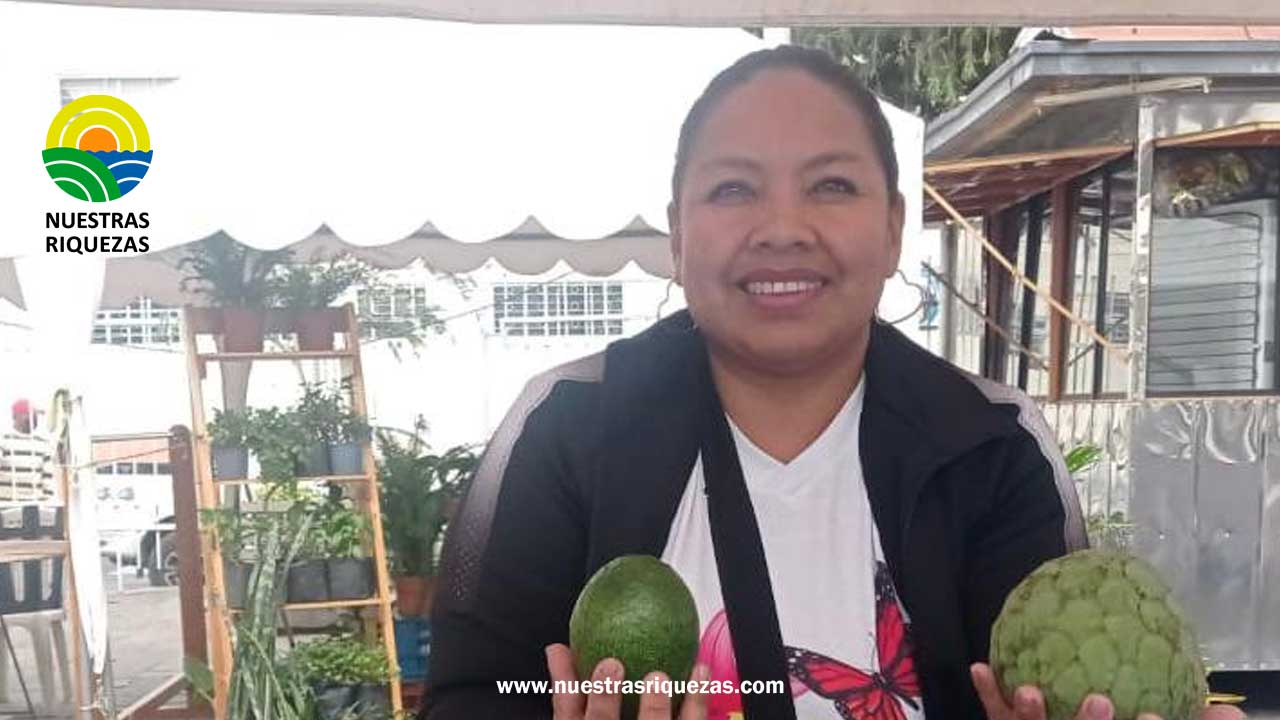 En Imbabura se desarrolló la Feria Comercial Nacional de Aguacate