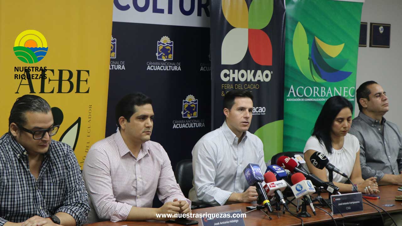 Extorsiones retrasan la exportación de 400 contenedores de banano