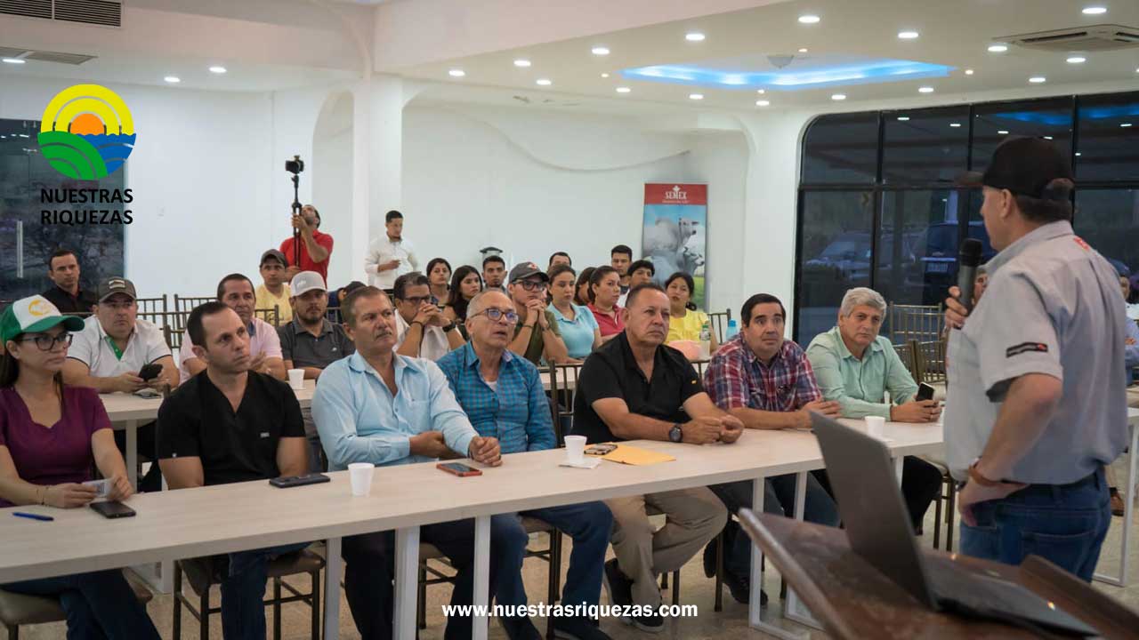 Ganaderos de Chone están enfocados en mejorar la producción para convertirse en exportadores