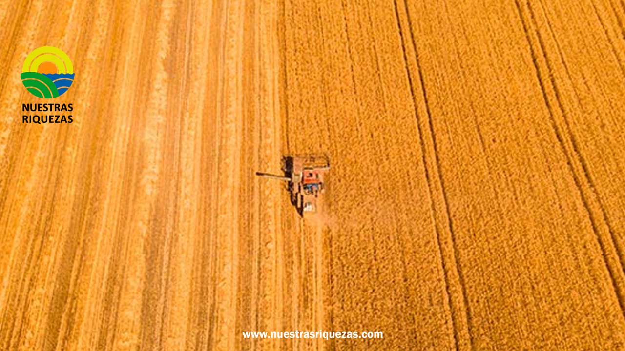 Las exportaciones españolas de maquinaria agrícola cayeron en el mes de junio