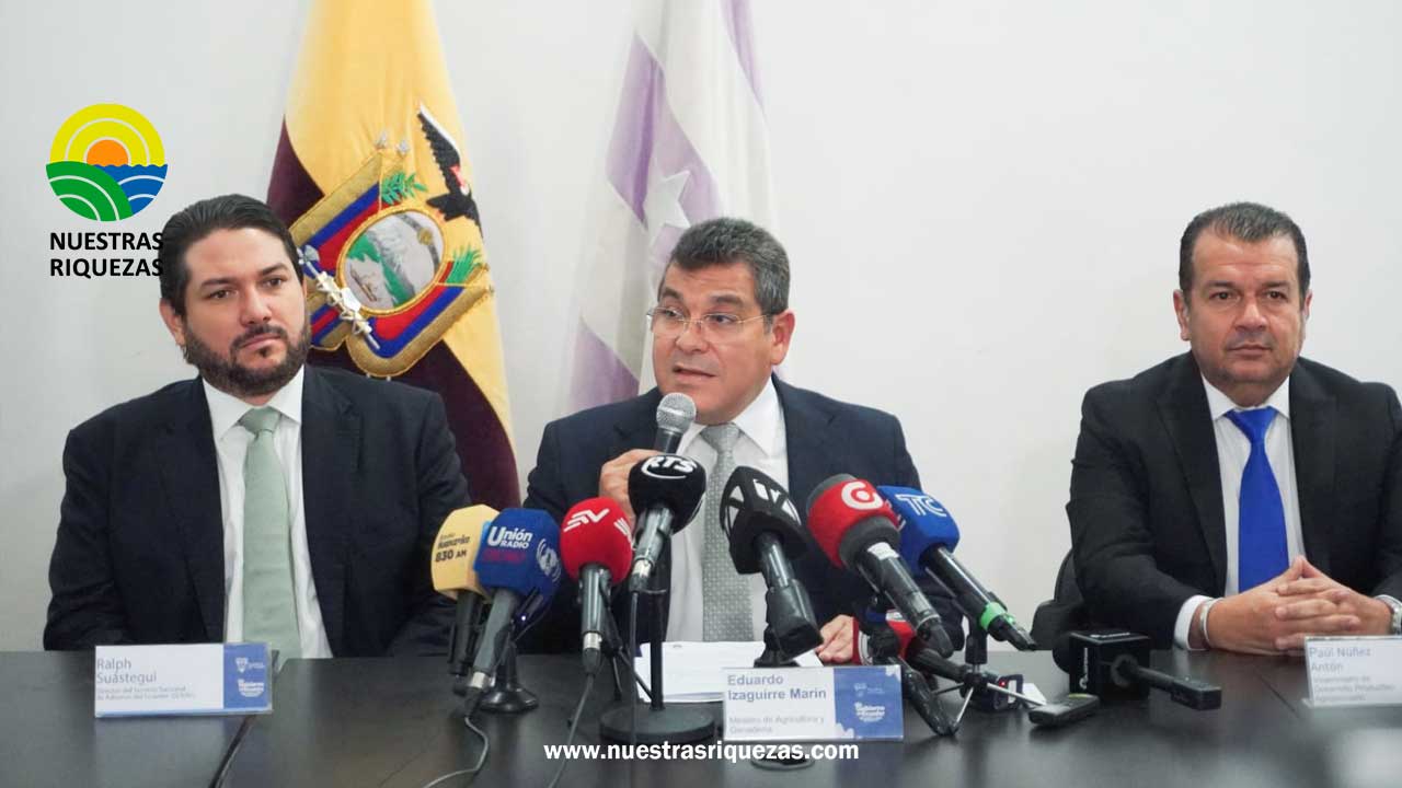 MAG y SENAE aumentan controles para evitar exportaciones fraudulentas de banano