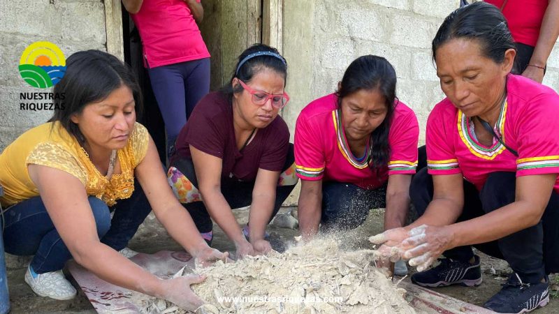 Mujeres de la comunidad Ongota, en Napo, aprenden a elaborar insumos orgánicos
