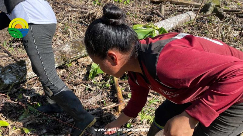 Napo: 210 productores se benefician de kits de maíz de alto rendimiento