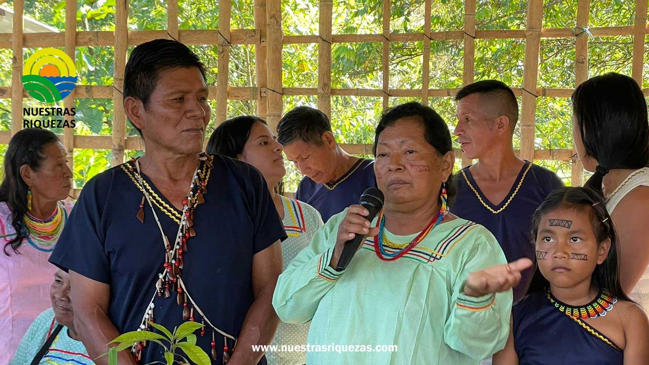 Napo: Diálogo de Saberes Ancestrales e intercambio de semillas evidencia prácticas para siembra