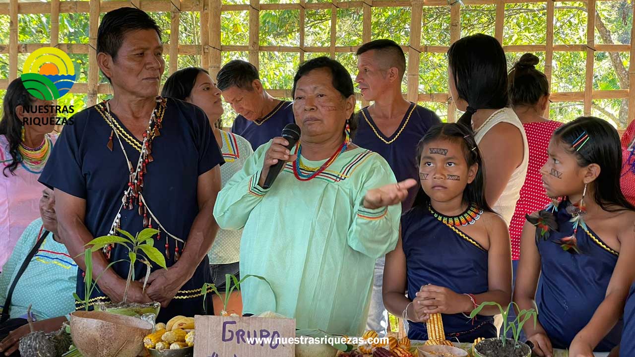 Napo: Diálogo de Saberes Ancestrales e intercambio de semillas evidencia prácticas para siembra