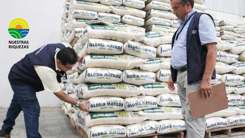 Primeras 400 toneladas de arroz en grano uruguayo llegaron a Ecuador, en total arribarán 15.000 en el transcurso de ocho semanas
