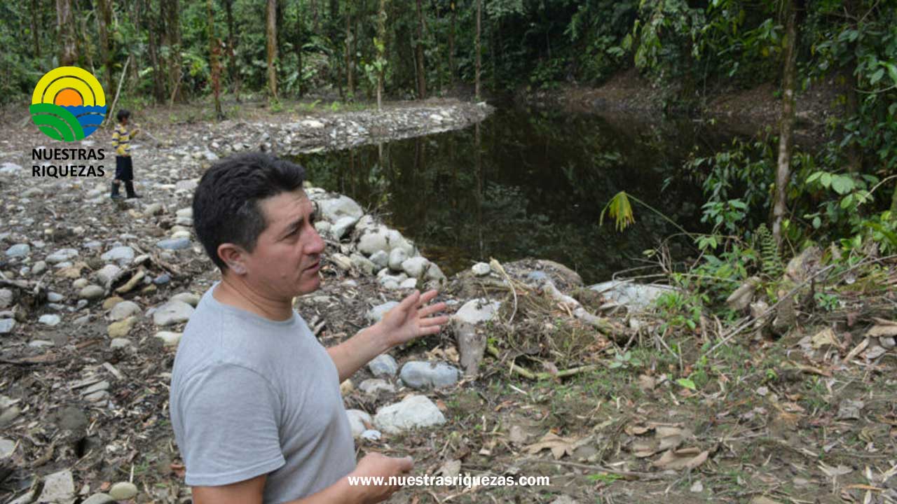 Producción de tilapia: un auge económico que oscurece los ríos en Pastaza