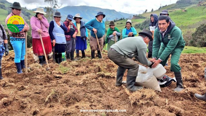 En Taday, el MAG realiza parcela demostrativa en siembra de semilla de pastos