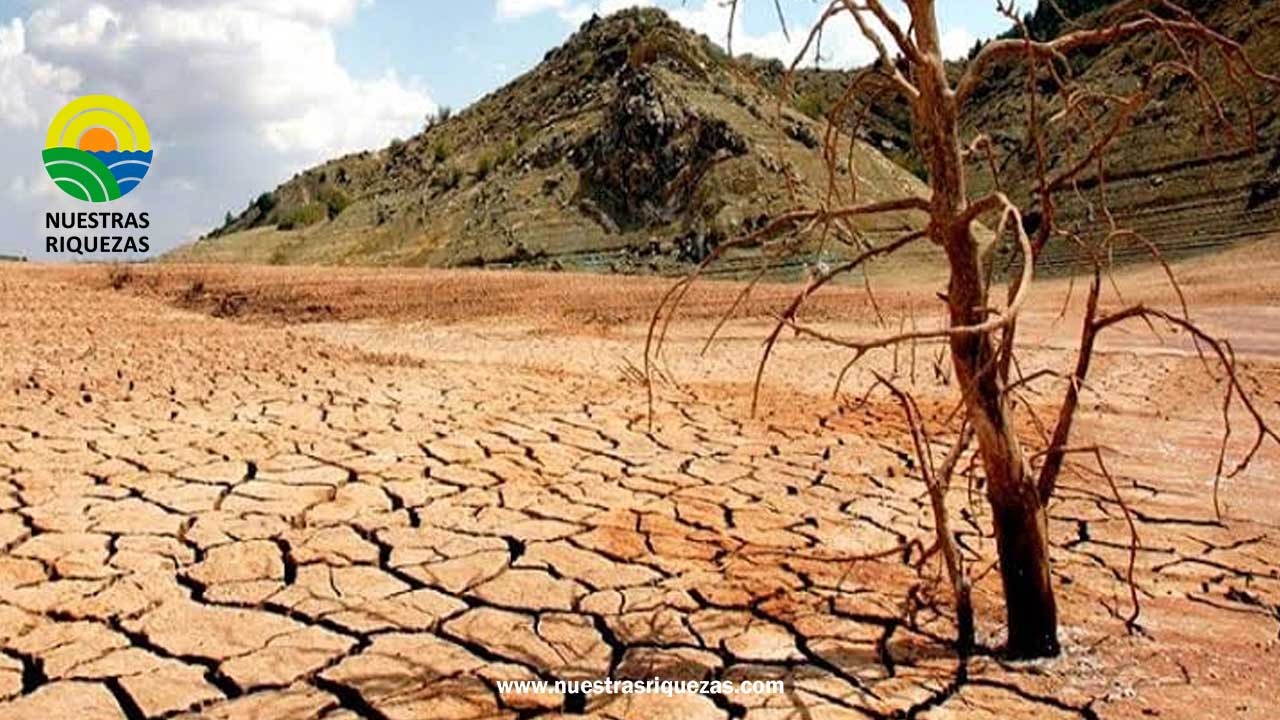 PUNO SERÁ LA SEGUNDA REGIÓN MÁS AFECTADA POR LA SEQUÍA