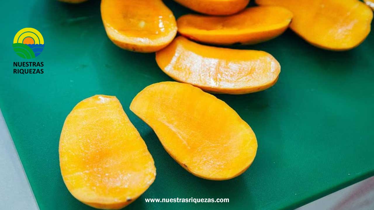 Ecuador empezará a exportar mango a Corea del Sur