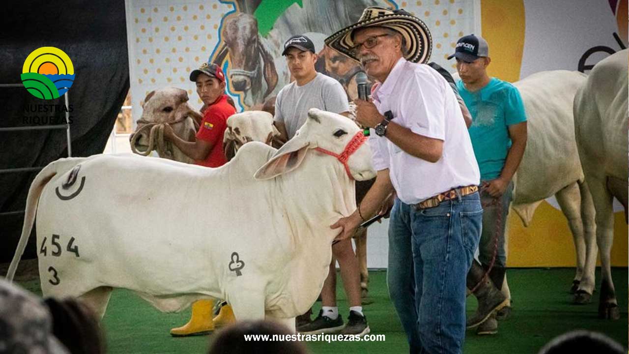 Los más altos avances en ganadería se exponen en este Workshop