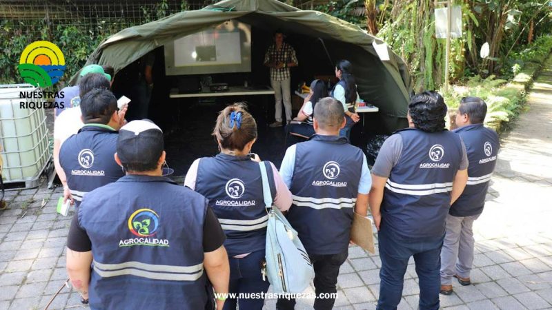 Simulacro de fiebre aftosa para mantener estatus en el país