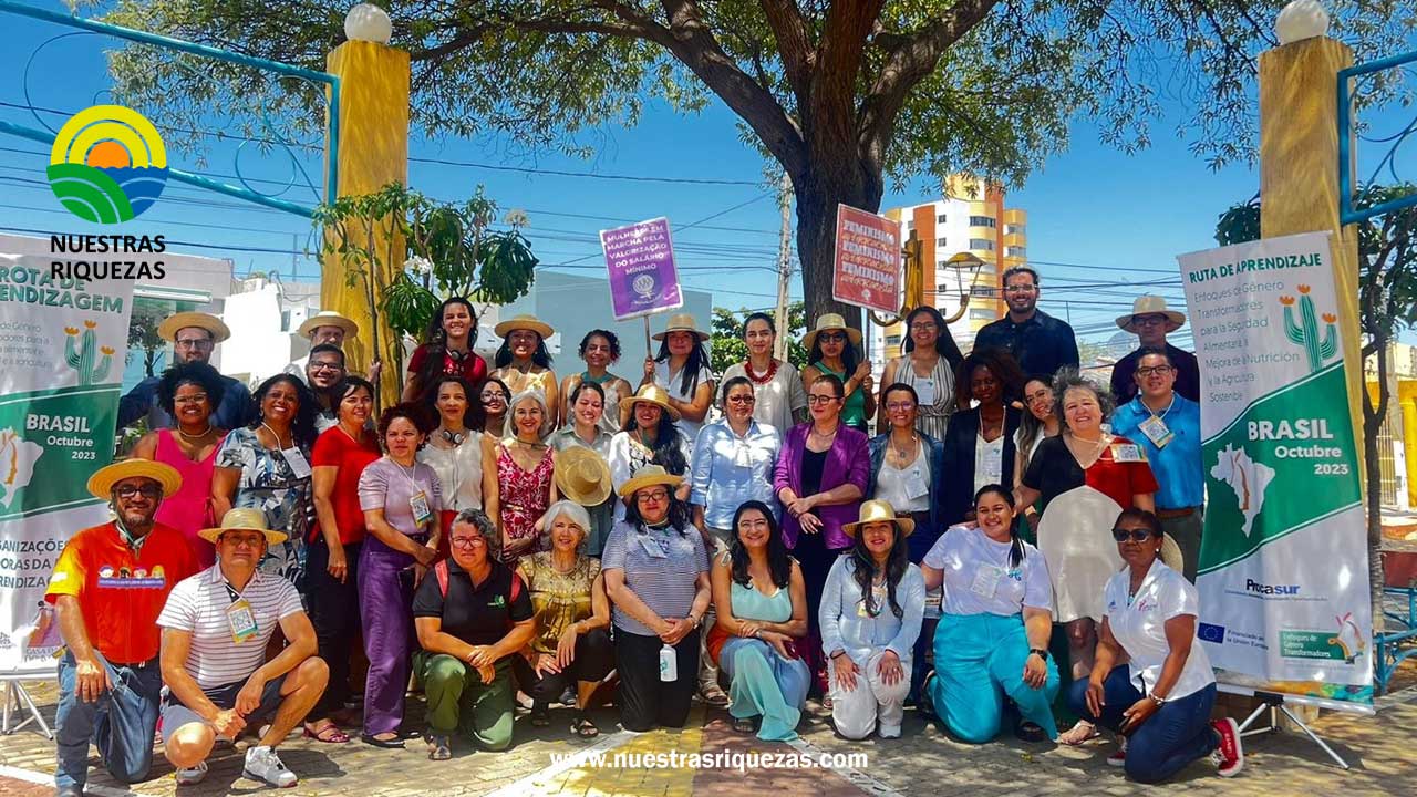 Ruta de aprendizaje sobre los enfoques de género transformadores en Brasil