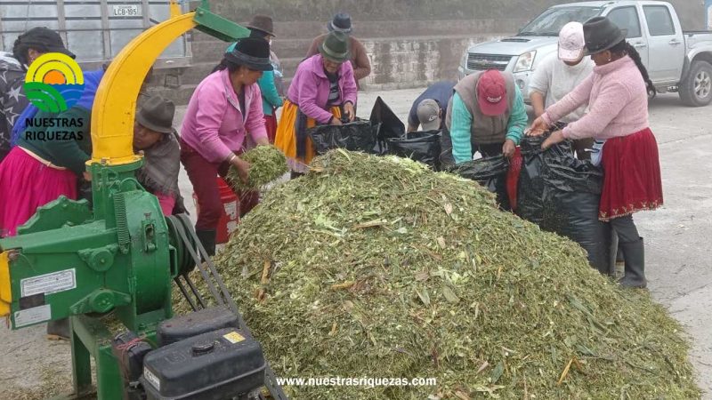 Ganaderos se capacitan en la elaboración de silos, para mejorar la alimentación de su ganado