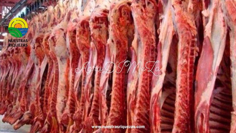 Estados Unidos está importando volúmenes históricos de carne