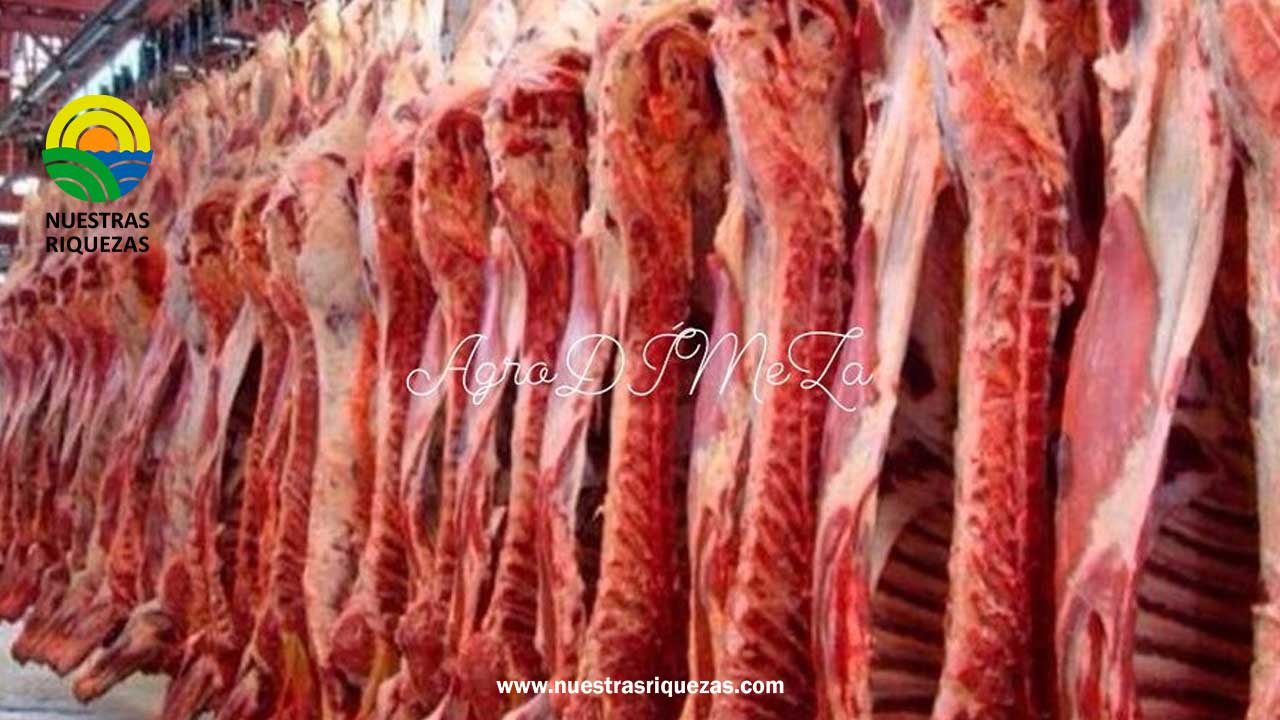 Estados Unidos está importando volúmenes históricos de carne