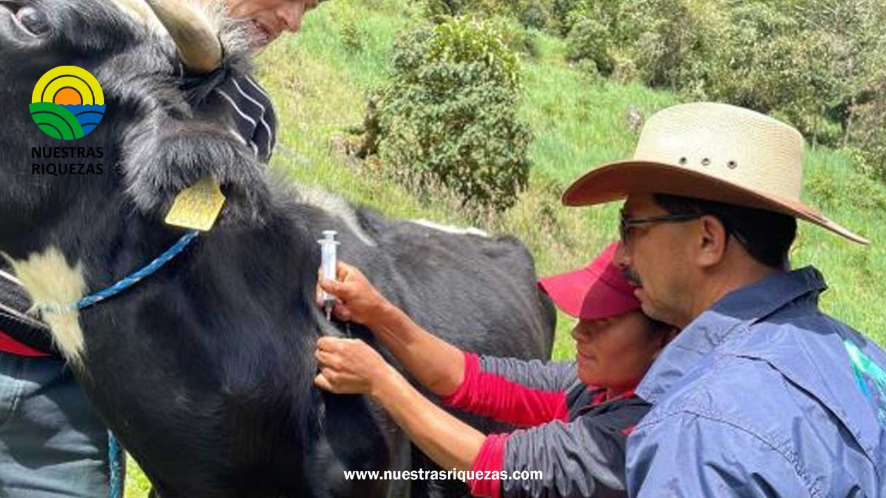 Ganaderos de Oyacachi se benefician de asistencia técnica y  subvenciones