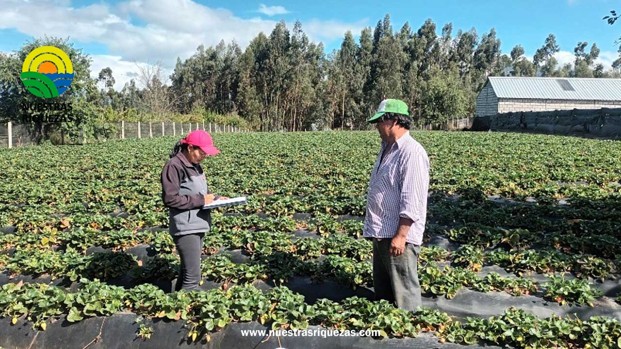 Registro Nacional Agropecuario se levantará en Tungurahua