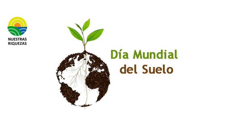 ¡Hoy es el Día Mundial del Suelo!