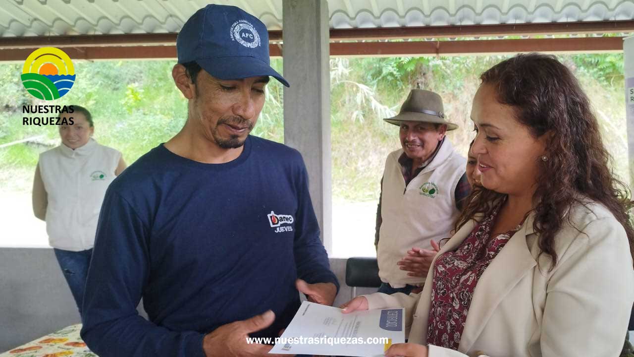 Productores de Tungurahua culminan escuelas forestales