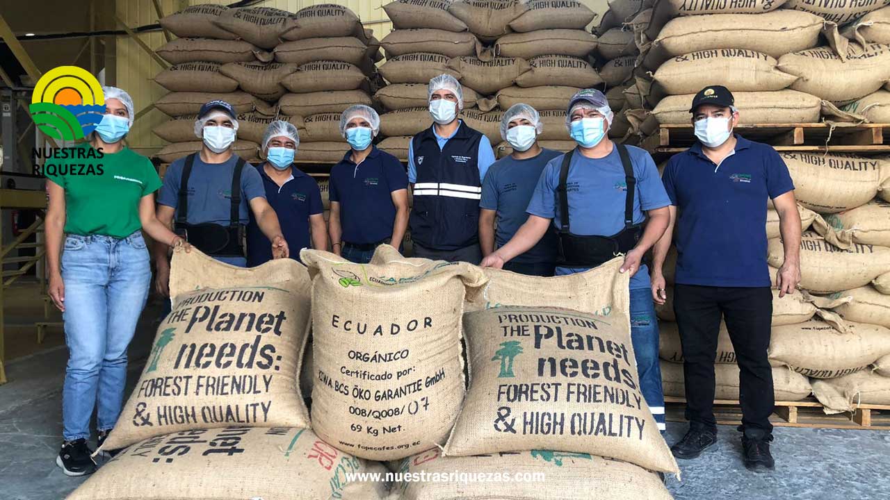 17 toneladas de café ecuatoriano orgánico y libre de deforestación llegan a Italia