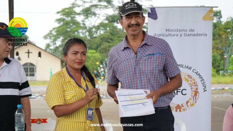 Productores de Sucumbíos obtienen licencia para cultivar cannabis no psicoactivo