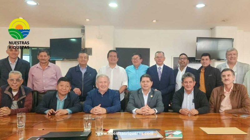 MAG reduce el volumen de importación de maíz amarillo; en 2024 importará 91 mil toneladas