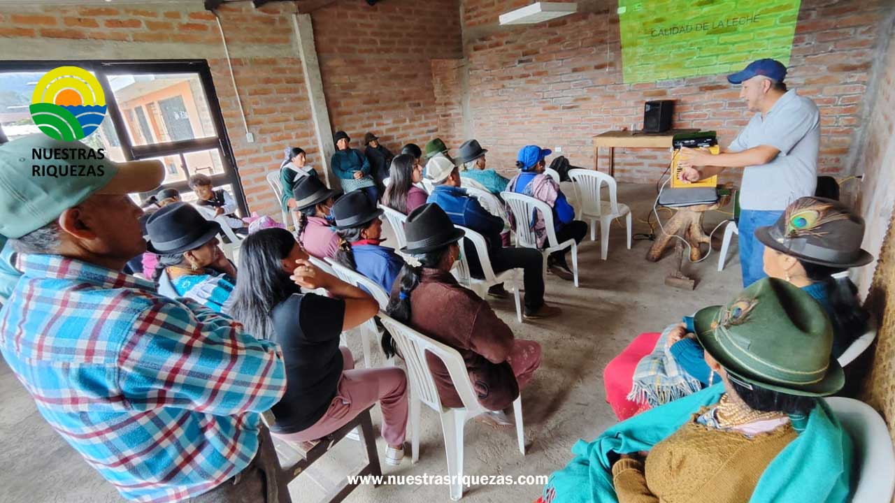Ganaderos de El Cajas, en Cayambe, apuntan al mejoramiento de la calidad de leche