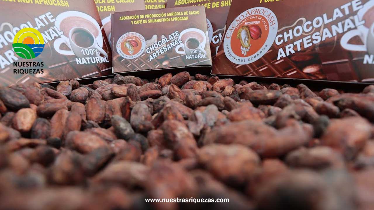 Este 14 de febrero, participa en la feria Dilo con Chocolate