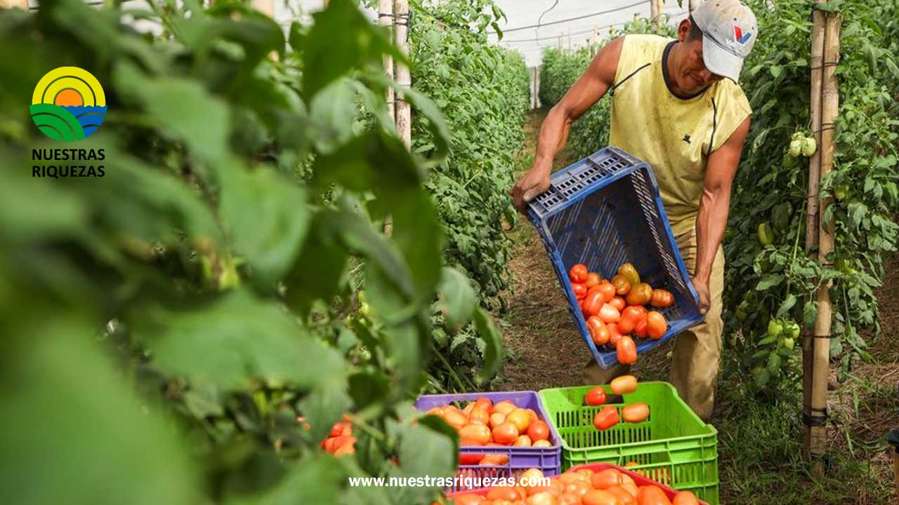 El Viceministro Óscar Domínguez se reunió hoy con productores de La Libertad