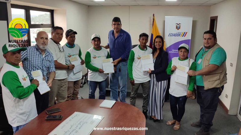 Productores de maíz, de Manabí, reciben cheques de indemnización del proyecto CampoSeguro